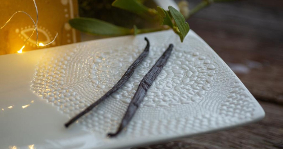 Vanilleschote ©Silja Parke – Wilde Möhre 